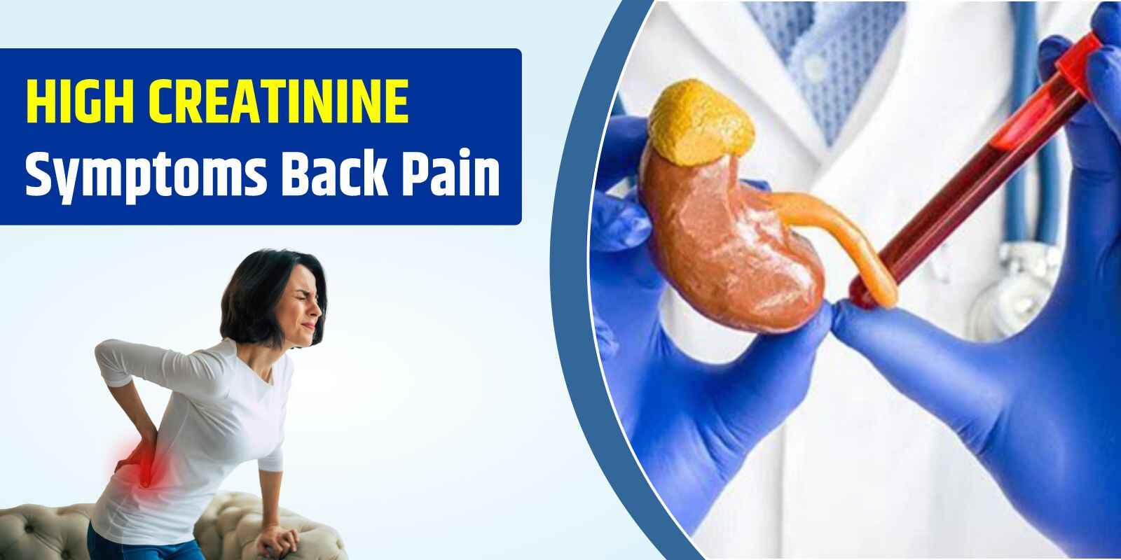 High Creatinine Symptoms Back Pain